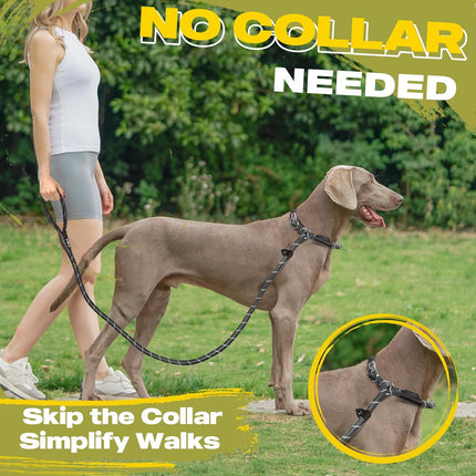 Durable Slip Lead Dog Leash 6FT Heavy Duty Reflective Rope Training Lead