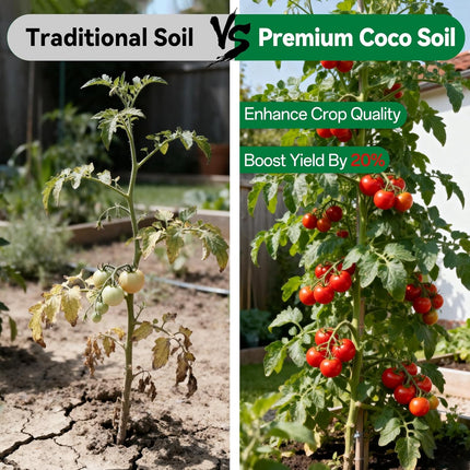 6 Pack Organic Coco Coir Bricks for Plants Compressed Coconut Husk Potting Soil Growing Mix