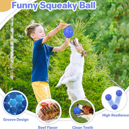 Indestructible Squeaky Dog Ball Toy for Aggressive Chewers Teeth Cleaning