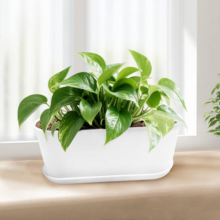 5-Pack White Window Herb Planter Boxes, 8.5-Inch Rectangular Plastic Pots Drainage Trays