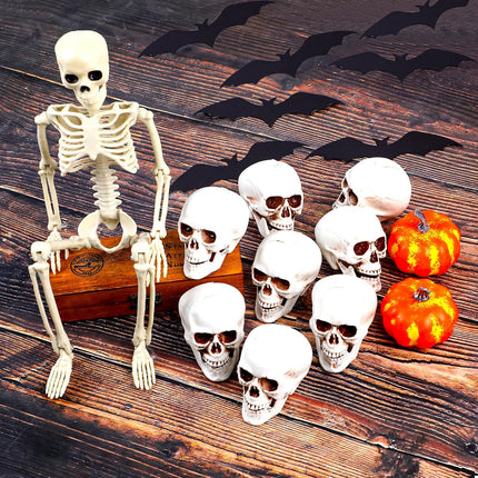 8-Piece Halloween Skull Heads, Realistic Plastic Skeleton Props for Party & Home Decor