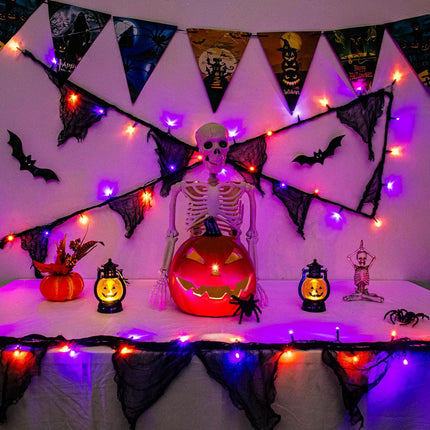 9.9FT 30LED Halloween Black Gauze String Lights, 8 Modes, Timer, USB/Battery Powered