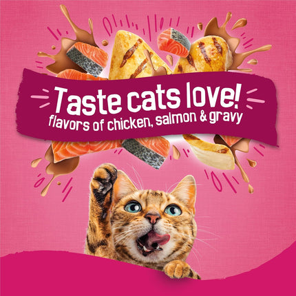 Purina Gravy Swirlers Dry Cat Food – Chicken, Salmon & Gravy, 3.15 lb