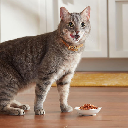 12-Pack Wet Cat Food Variety – Seafood Chunks in Gravy, 2.75 oz Cups