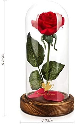 Forever Rose in Glass Dome with LED – Romantic Christmas Gift for Women