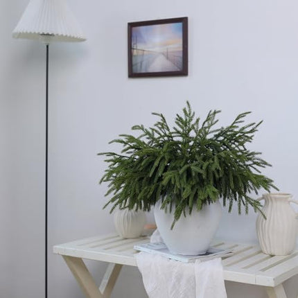 YXZZWL 18" Norfolk Pine Stems 64 Pcs – Real Touch Faux Greenery for Xmas Crafts