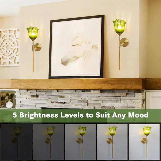 Battery Operated Wallchiere with Remote Rechargeable Gold Wall Sconces RGB Set of 2