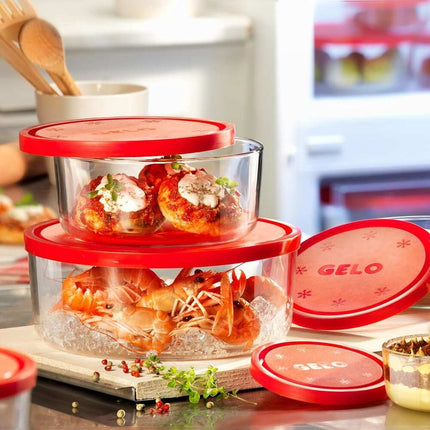 Gelo 4pc Storage Containers with Lids, BPA-Free Kitchen Organization Set