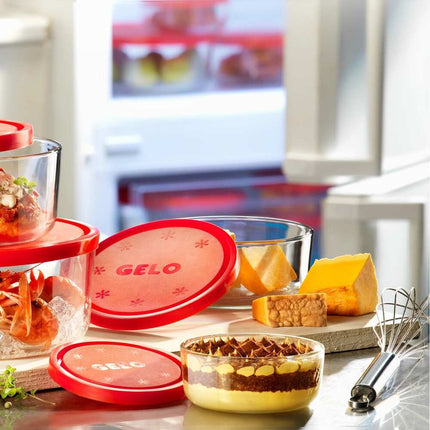 Gelo 4pc Storage Containers with Lids, BPA-Free Kitchen Organization Set