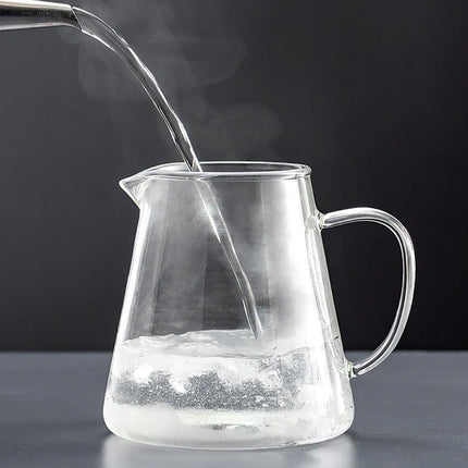 16.9 fl oz Glass Tea Pot with Removable Stainless Steel Infuser Strainer