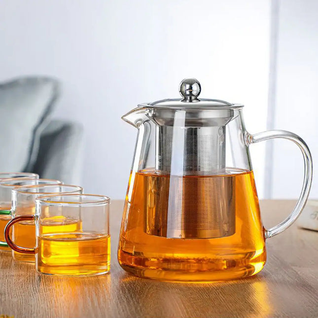 16.9 fl oz Glass Tea Pot with Removable Stainless Steel Infuser Strainer