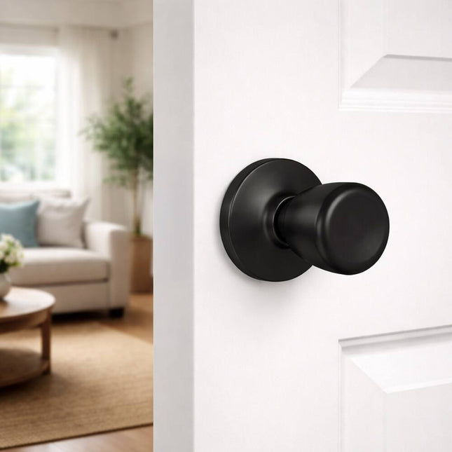 Terrace Non-Turning Dummy, Privacy, Passage & Entry Doorknob Collection