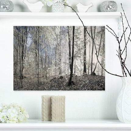 Dark Morning in Forest Panorama Large Canvas Wall Art, 20 x 12 Inch Landscape Print
