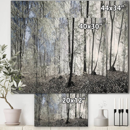 Dark Morning in Forest Panorama Large Canvas Wall Art, 20 x 12 Inch Landscape Print