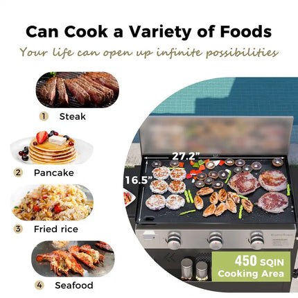 ARTS Propane BBQ Grill 2-3 Burner Cast Iron Griddle Outdoor Patio Cooking