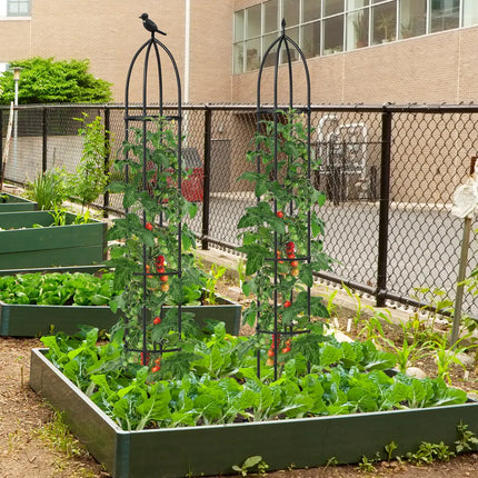 2-Pack Garden Obelisk Trellis for Climbing Plants Rustproof Metal Support