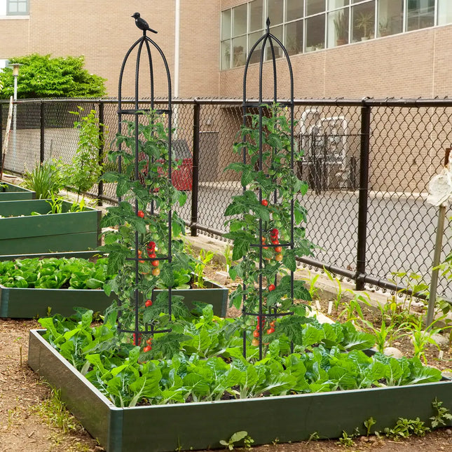 2-Pack Garden Obelisk Trellis for Climbing Plants Rustproof Metal Support