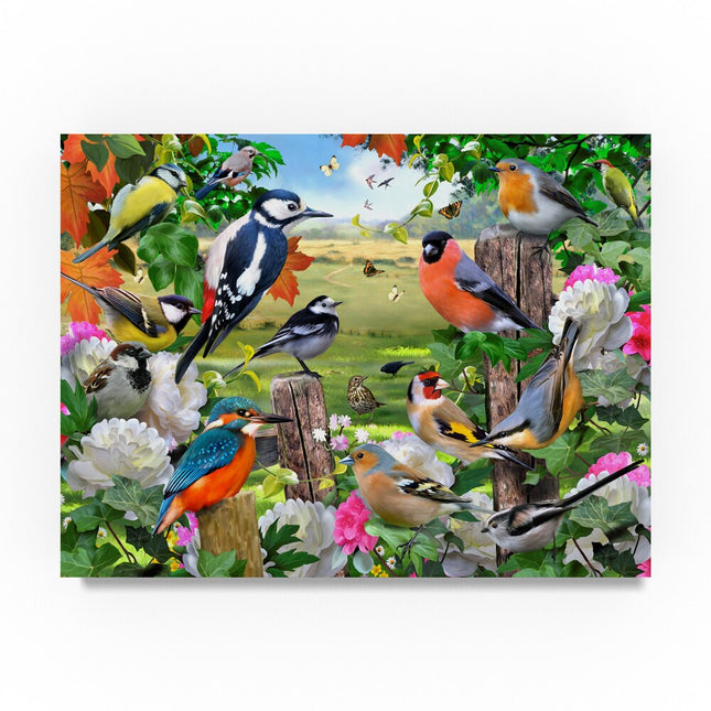 Howard Robinson Canvas Art – Colorful Birds, Modern Wall Decor