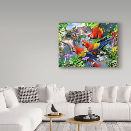 Howard Robinson ‘Parrots’ Canvas Art – Colorful Tropical Wall Decor
