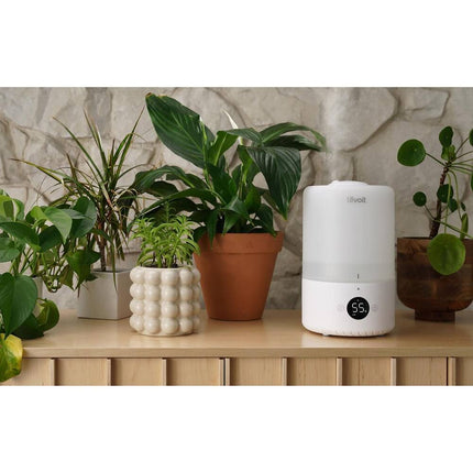 Automatic Aromatherapy Humidifier – 0.79 Gal, Covers 290 Sq Ft
