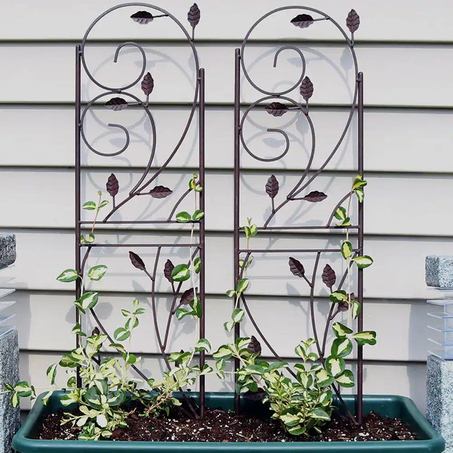Set of 2 Plant Support Trellis for Outdoor Garden Vegetables and Climbing Plants
