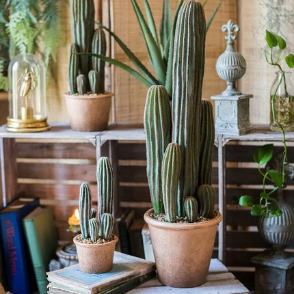 RusticReach Artificial Cactus in Brown Pot Faux Plant Home Decor